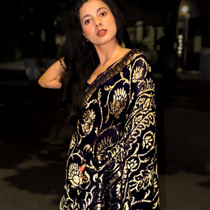 stars pure georgette banarasi with golden kadhua zari jaal